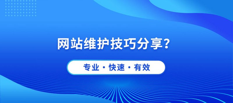 海口网络公司的崛起：数字化转型之路
